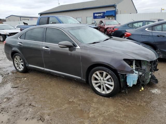 2010 Lexus ES 350