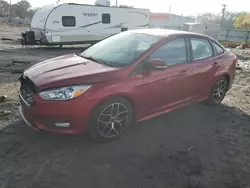 Ford Focus salvage cars for sale: 2015 Ford Focus SE