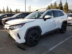 Salvage cars for sale at Rancho Cucamonga, CA auction: 2021 Toyota Rav4 XLE