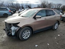 Salvage cars for sale at auction: 2019 Chevrolet Equinox LT