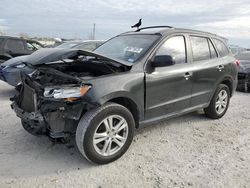 Salvage cars for sale at Haslet, TX auction: 2010 Hyundai Santa FE Limited