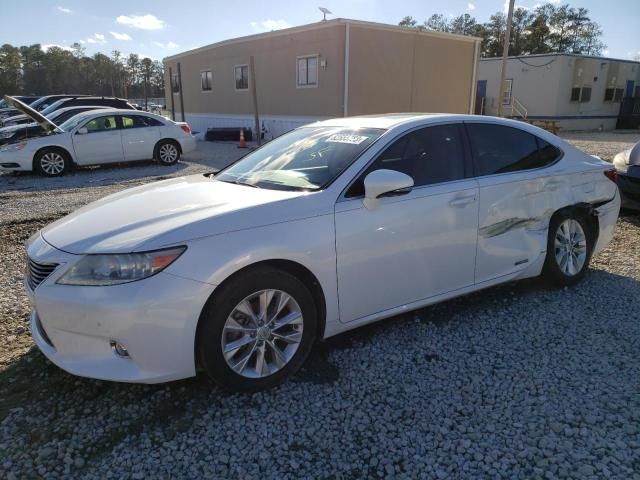 2013 Lexus ES 300H