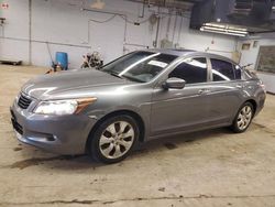Salvage cars for sale from Copart Wheeling, IL: 2009 Honda Accord EXL