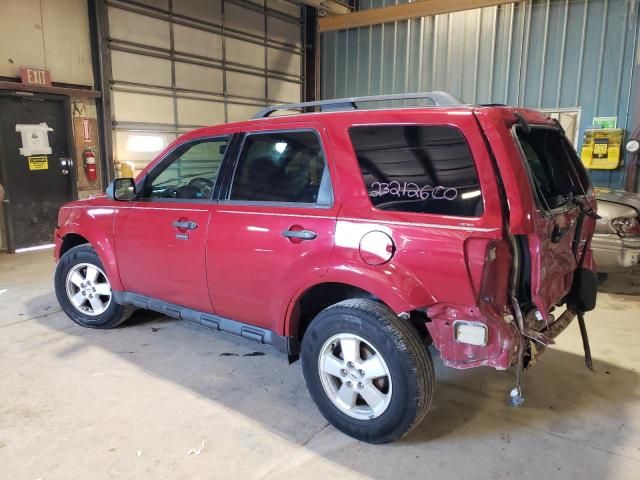 2010 Ford Escape XLT