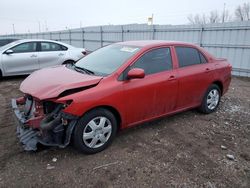 Salvage cars for sale from Copart Greenwood, NE: 2010 Toyota Corolla Base