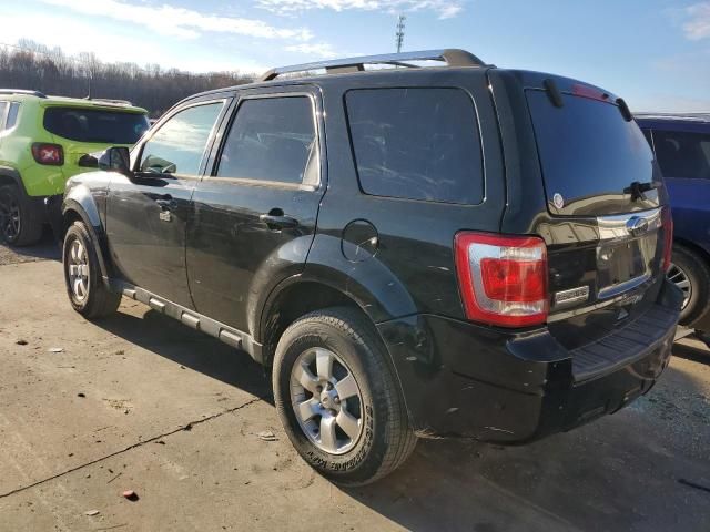 2010 Ford Escape Limited