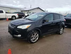 Salvage cars for sale from Copart Dyer, IN: 2013 Ford Escape SEL