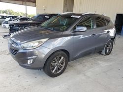 Salvage cars for sale at Homestead, FL auction: 2015 Hyundai Tucson Limited