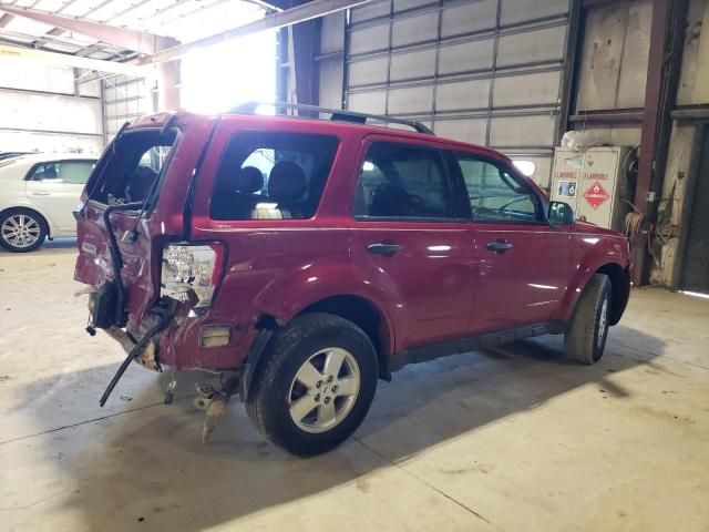 2010 Ford Escape XLT