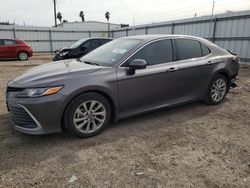 Salvage cars for sale at Mercedes, TX auction: 2023 Toyota Camry LE