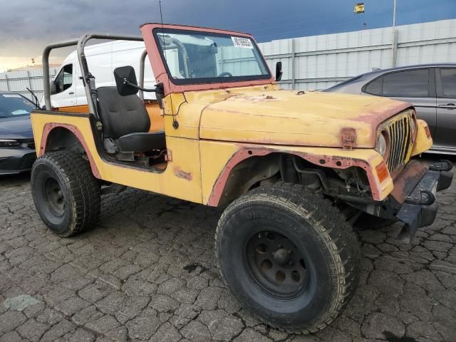 2000 Jeep Wrangler / TJ SE