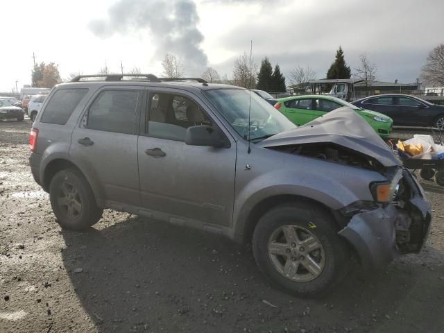 2008 Ford Escape HEV