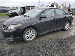 Salvage cars for sale from Copart Eugene, OR: 2010 Toyota Corolla Base