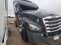 Salvage trucks for sale at Amarillo, TX auction: 2020 Freightliner Cascadia 126