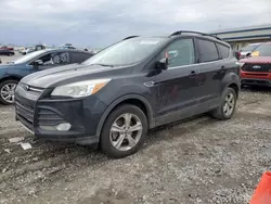 Salvage cars for sale from Copart Earlington, KY: 2014 Ford Escape SE