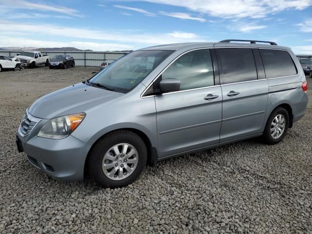 2010 Honda Odyssey EXL