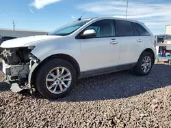 Salvage cars for sale from Copart Phoenix, AZ: 2011 Ford Edge SEL