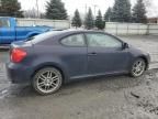 2006 Scion TC