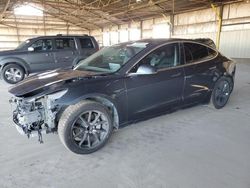 Salvage cars for sale at Phoenix, AZ auction: 2020 Tesla Model 3