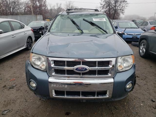 2011 Ford Escape Limited