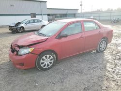 Salvage cars for sale from Copart Leroy, NY: 2010 Toyota Corolla Base