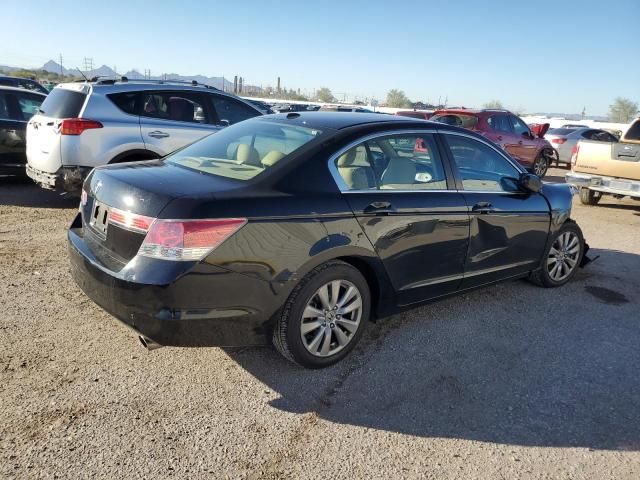 2011 Honda Accord EXL