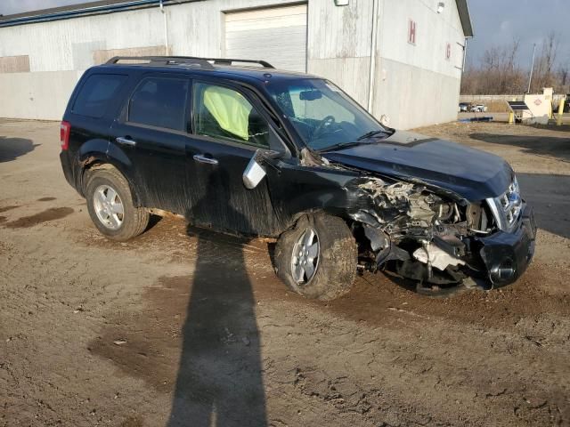 2009 Ford Escape XLT