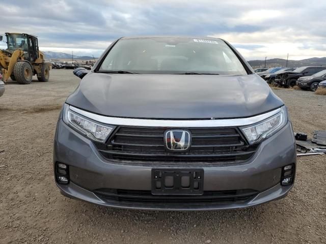 2024 Honda Odyssey Elite