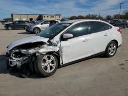 Ford Focus SE salvage cars for sale: 2014 Ford Focus SE