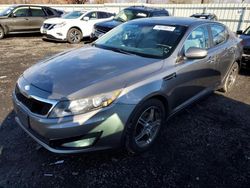 KIA salvage cars for sale: 2013 KIA Optima EX