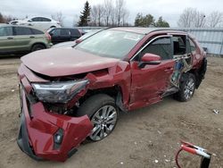 Salvage cars for sale from Copart Bowmanville, ON: 2023 Toyota Rav4 XLE