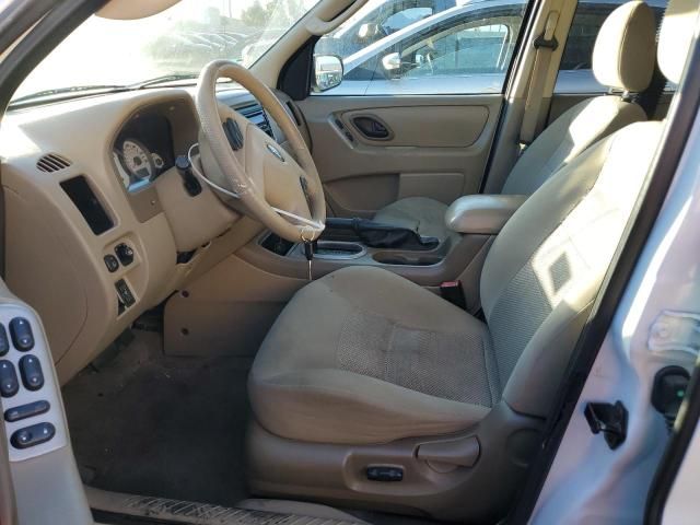 2006 Ford Escape XLT