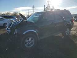 Salvage cars for sale from Copart Columbus, OH: 2012 Ford Escape XLT