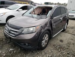 Honda salvage cars for sale: 2014 Honda CR-V EX