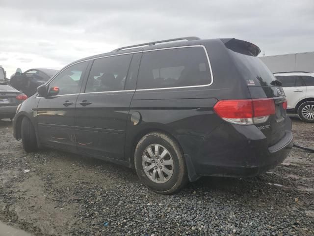 2010 Honda Odyssey EXL