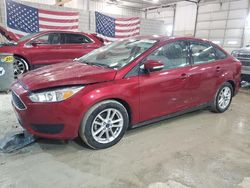 Ford Focus SE salvage cars for sale: 2016 Ford Focus SE