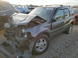 Salvage cars for sale from Copart Davison, MI: 2004 Ford Escape XLT