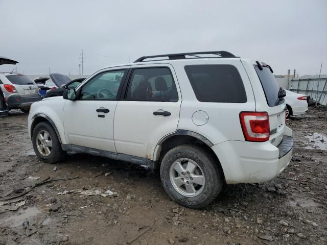 2011 Ford Escape XLT