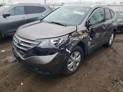 Salvage cars for sale at Elgin, IL auction: 2013 Honda CR-V EXL