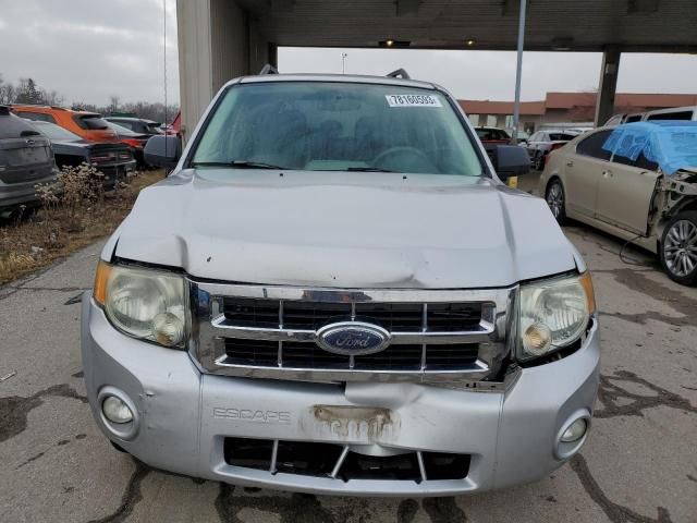 2008 Ford Escape XLT