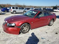 Ford Mustang salvage cars for sale: 2004 Ford Mustang