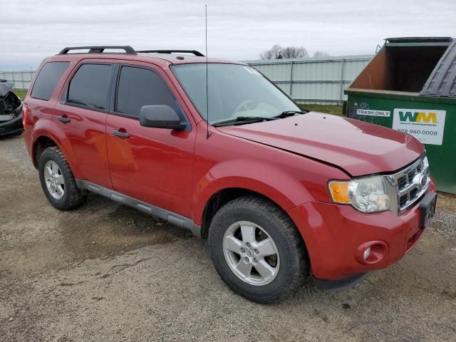 2010 Ford Escape XLT