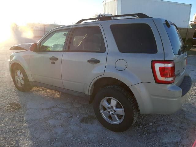 2009 Ford Escape XLT