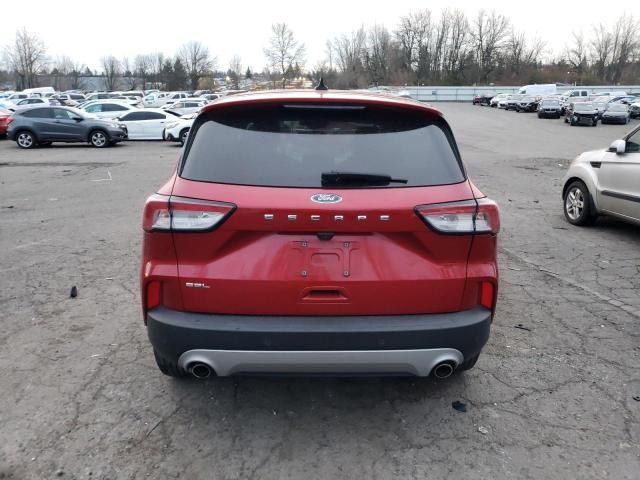 2021 Ford Escape SEL