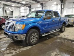 2012 Ford F150 Supercrew for sale in Ham Lake, MN