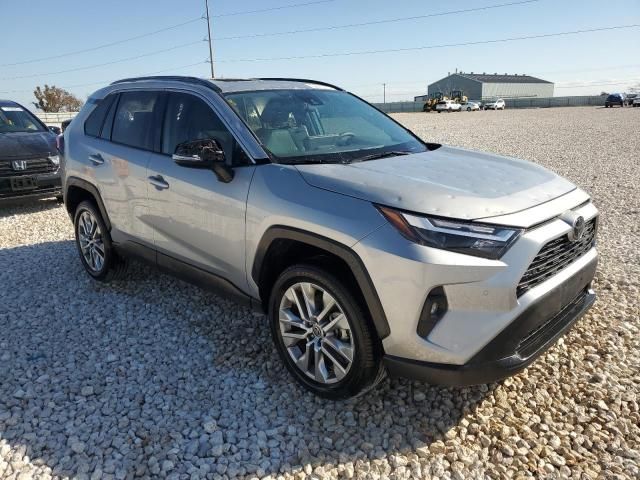 2023 Toyota Rav4 XLE Premium