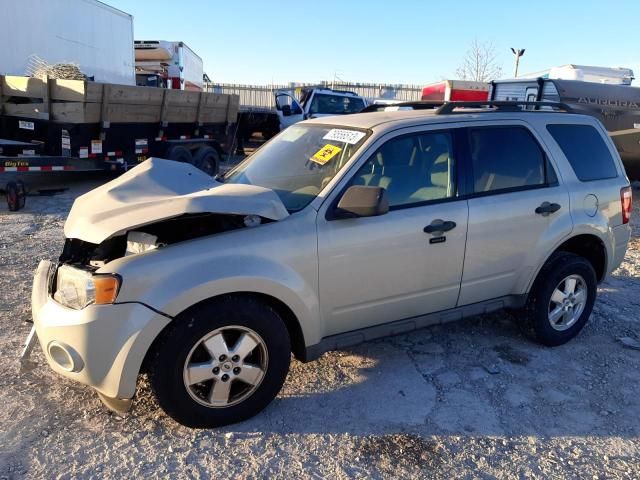 2009 Ford Escape XLT