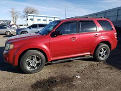 2009 Ford Escape XLT for sale in Albuquerque, NM