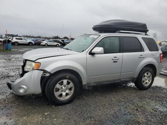 2010 Ford Escape Limited