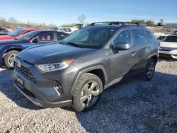 Flood-damaged cars for sale at auction: 2020 Toyota Rav4 Limited